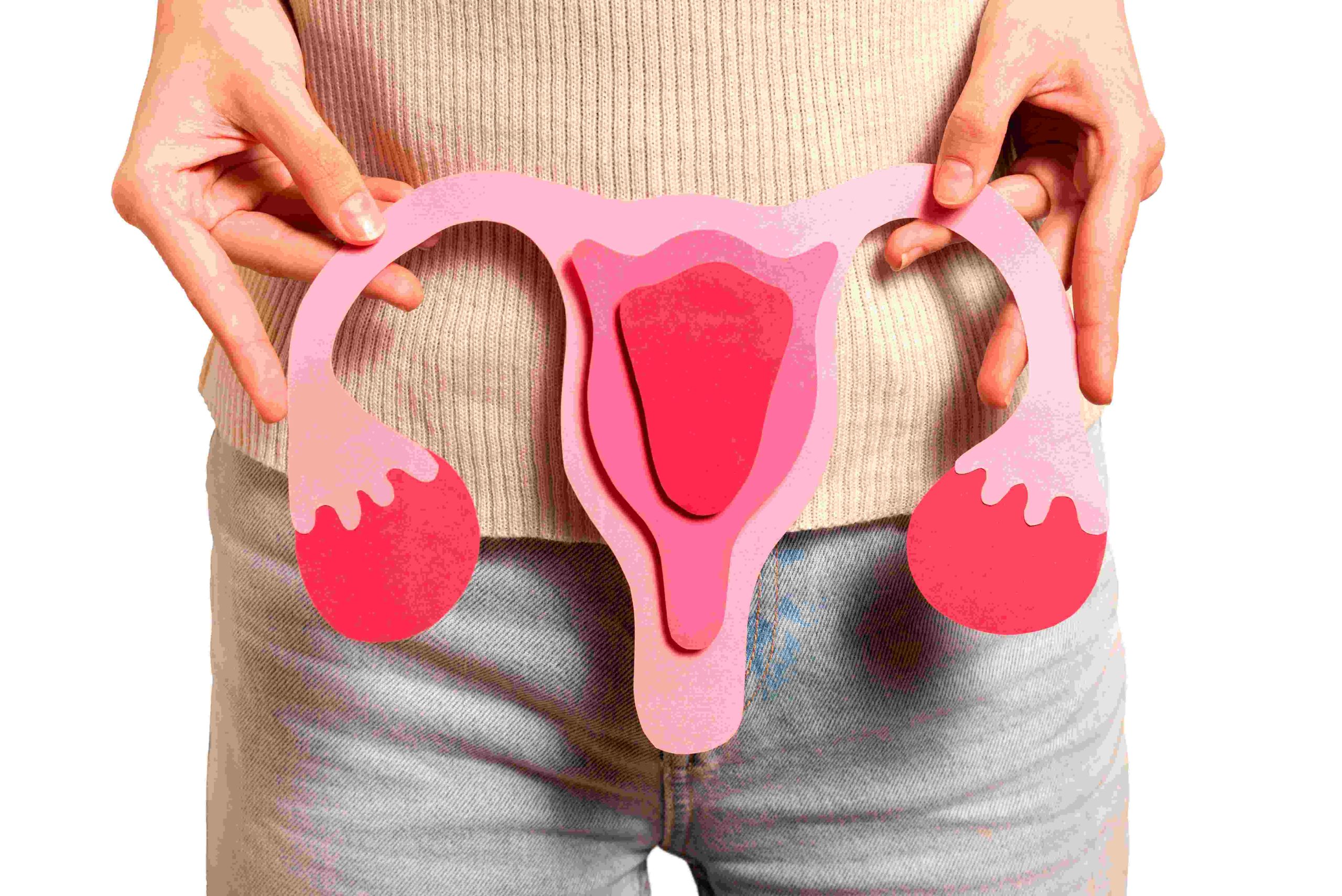 陰道有東西掉出來?!「這類人」須注意陰道脫垂!